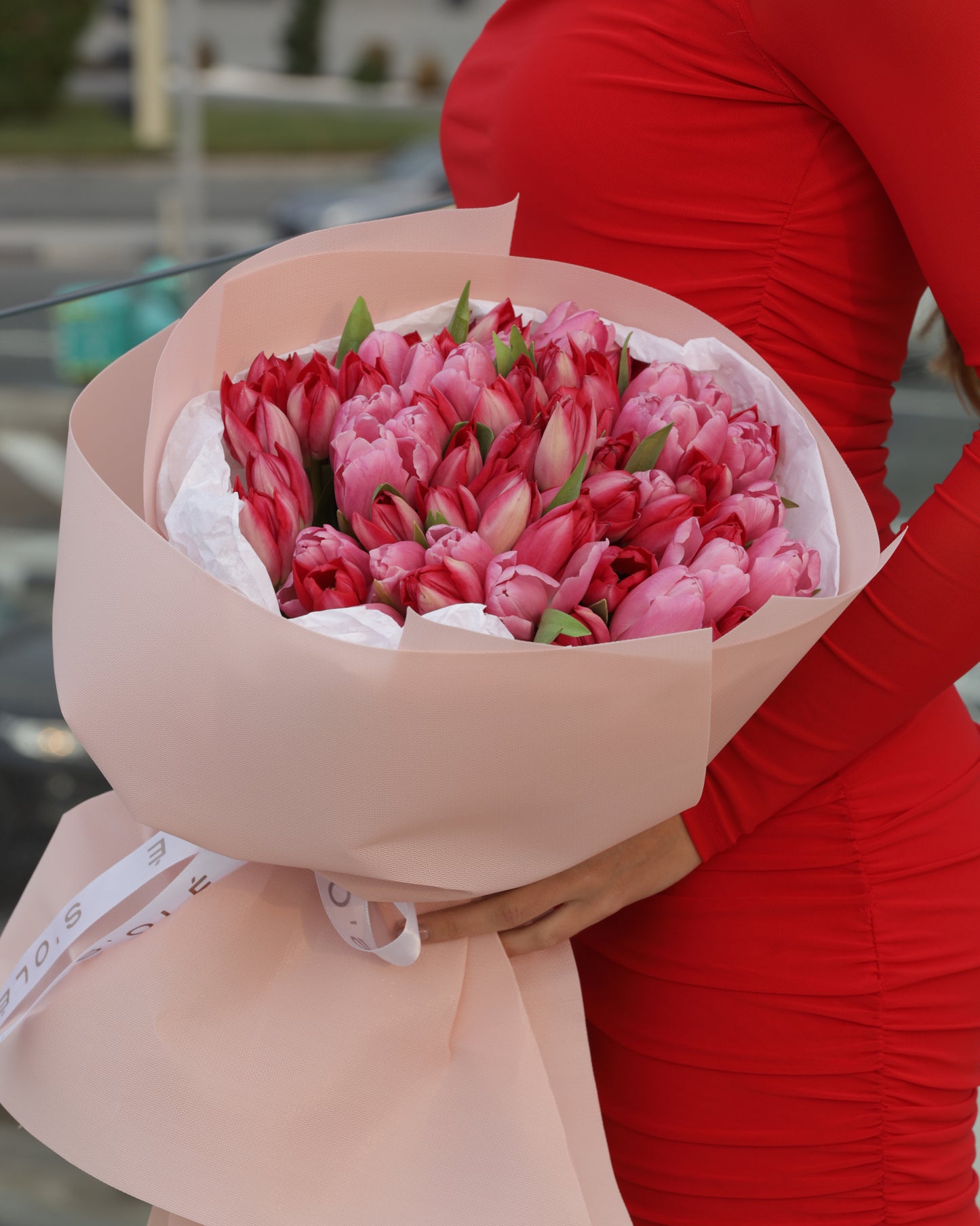 Pure Tulip