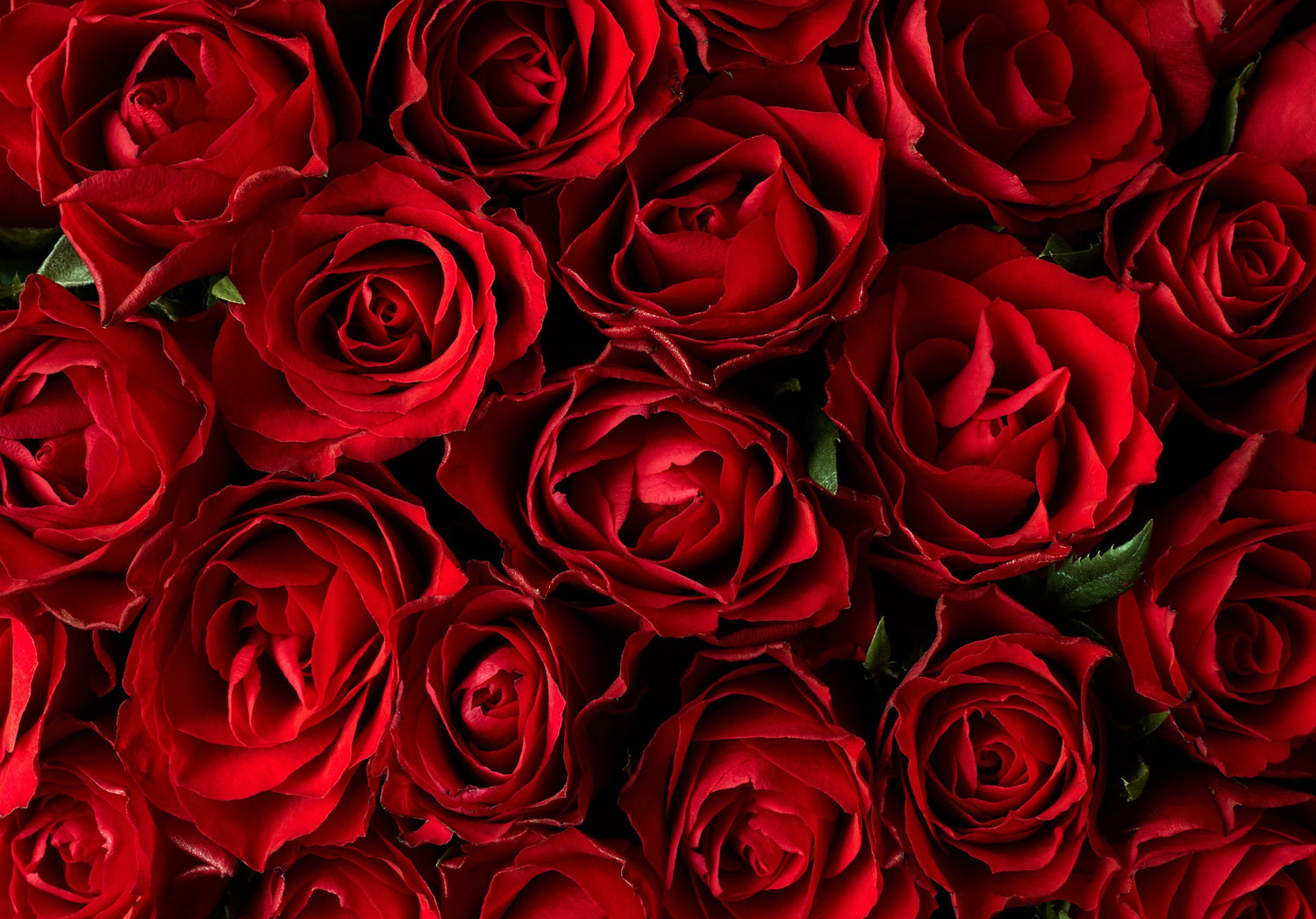Love and Gifting