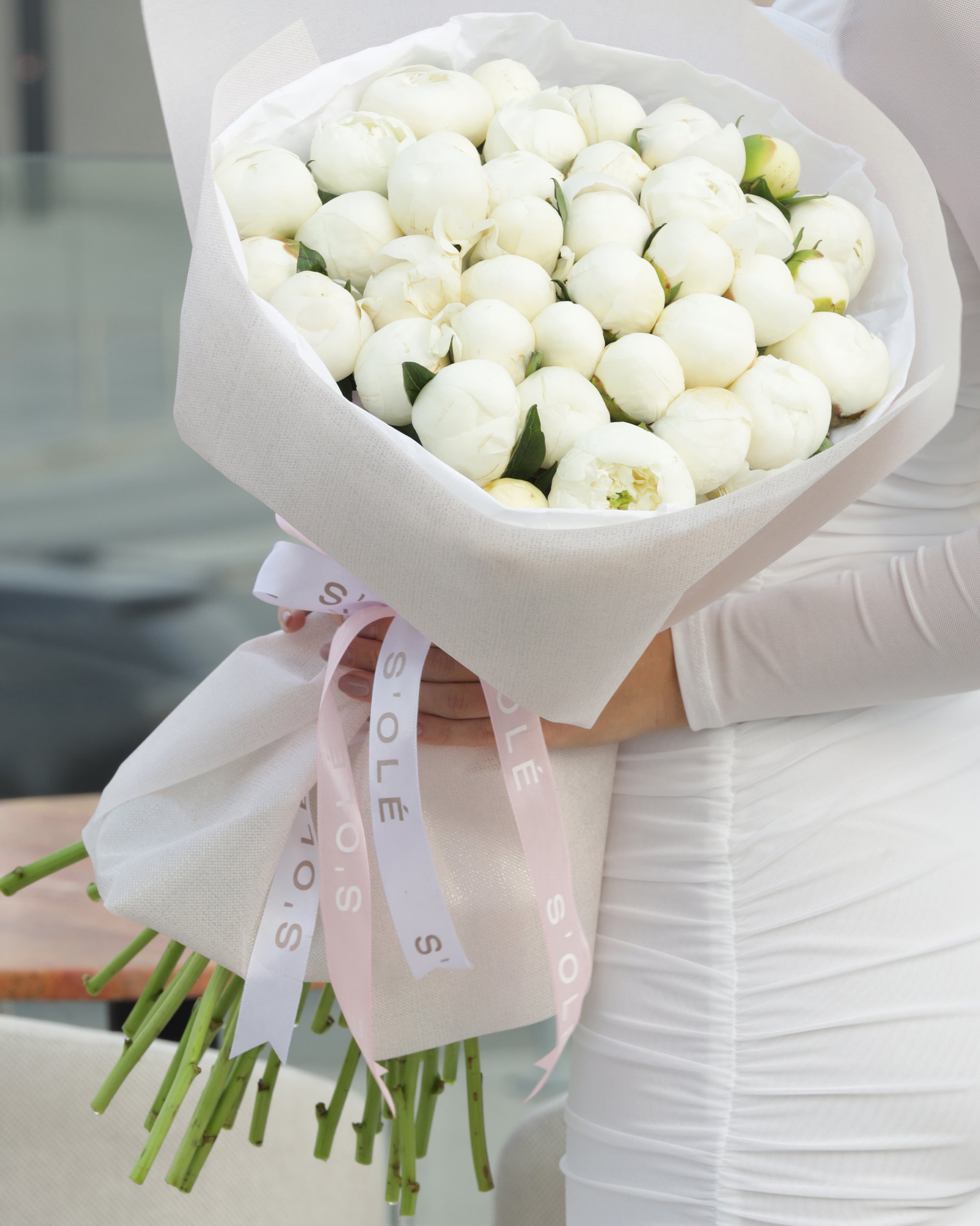 Peony Dream