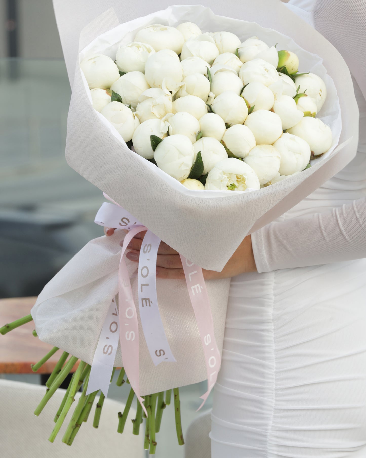 Peony Dream