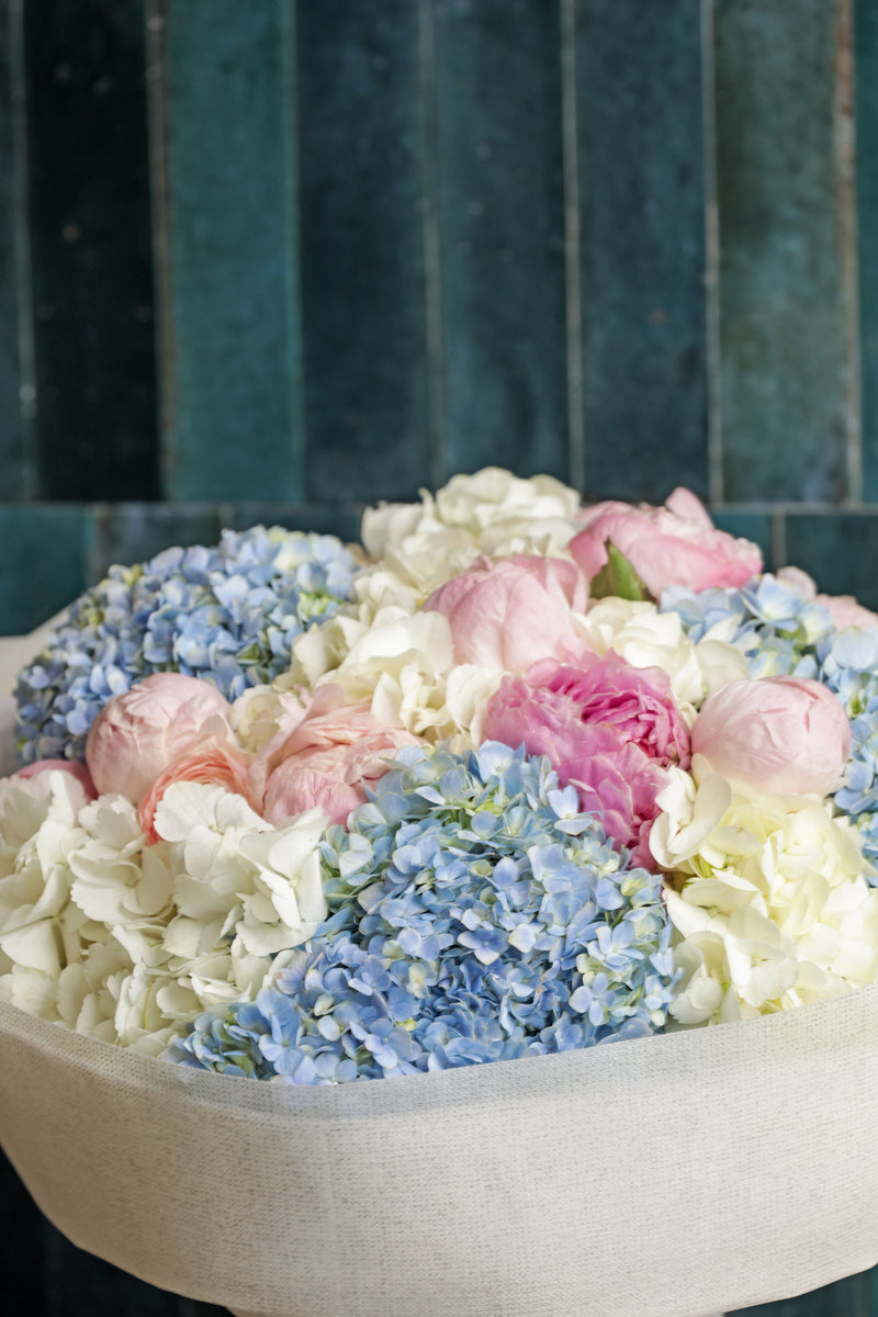 Peony Cloud