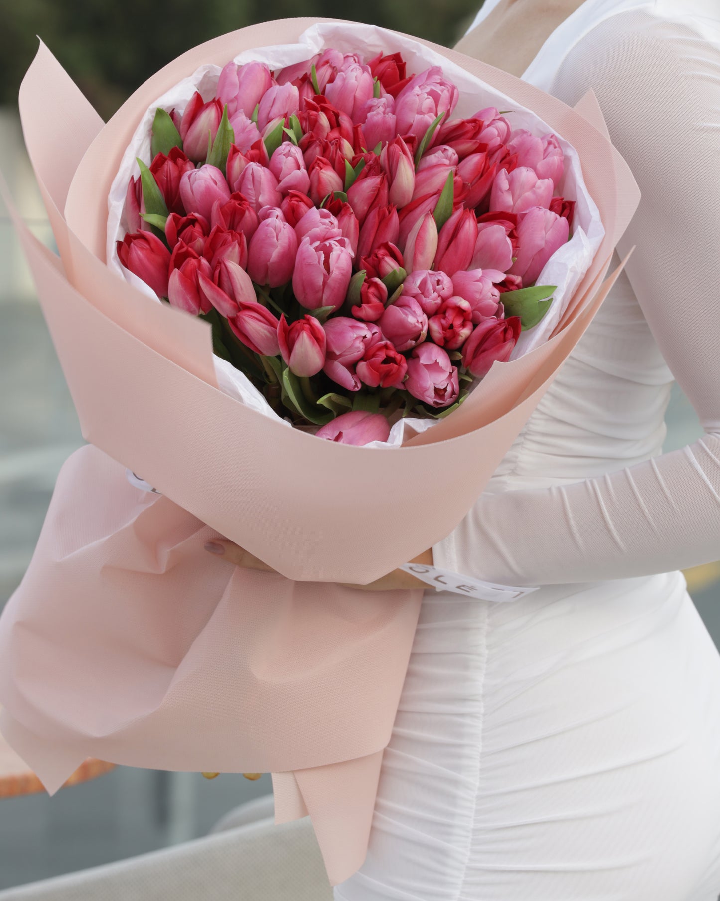 Pure Tulip