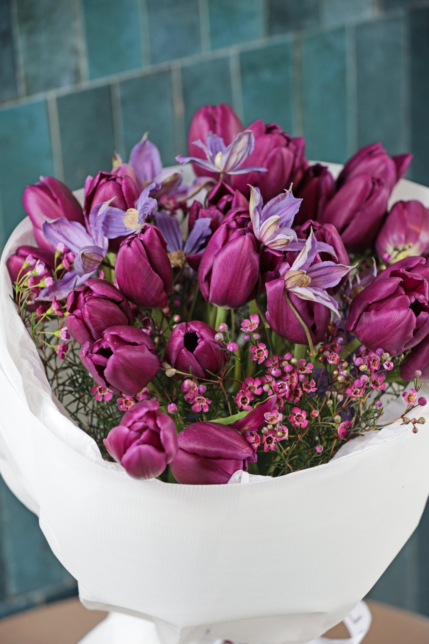 Purple Spring